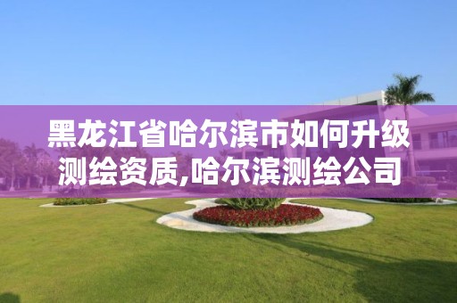 黑龍江省哈爾濱市如何升級(jí)測繪資質(zhì),哈爾濱測繪公司電話