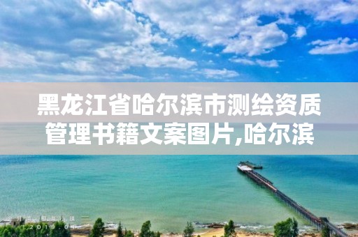 黑龍江省哈爾濱市測繪資質管理書籍文案圖片,哈爾濱測繪局在哪。