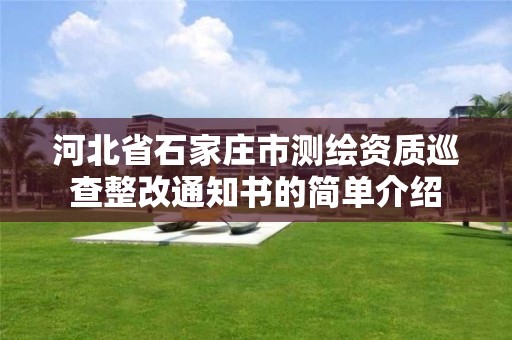 河北省石家莊市測繪資質巡查整改通知書的簡單介紹