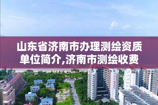 山東省濟南市辦理測繪資質單位簡介,濟南市測繪收費標準