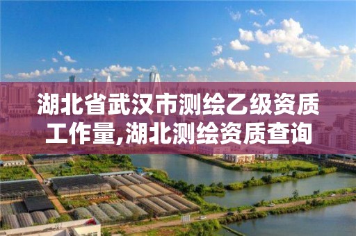 湖北省武漢市測繪乙級資質(zhì)工作量,湖北測繪資質(zhì)查詢。