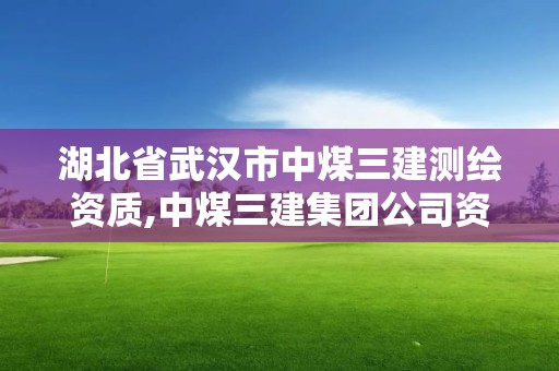 湖北省武漢市中煤三建測繪資質,中煤三建集團公司資質。