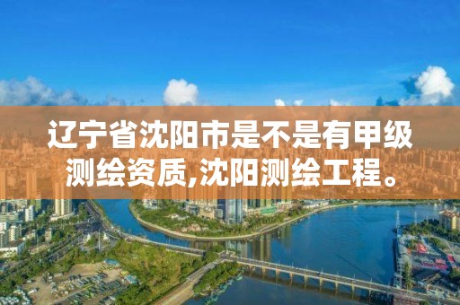 遼寧省沈陽市是不是有甲級測繪資質,沈陽測繪工程。