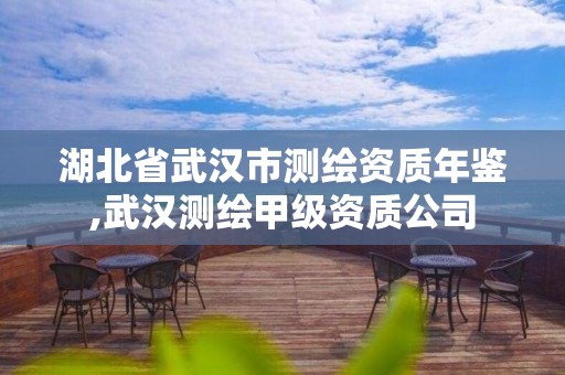 湖北省武漢市測繪資質年鑒,武漢測繪甲級資質公司