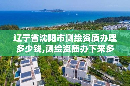 遼寧省沈陽市測繪資質辦理多少錢,測繪資質辦下來多少錢