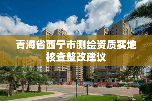 青海省西寧市測繪資質實地核查整改建議