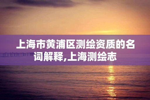 上海市黃浦區測繪資質的名詞解釋,上海測繪志