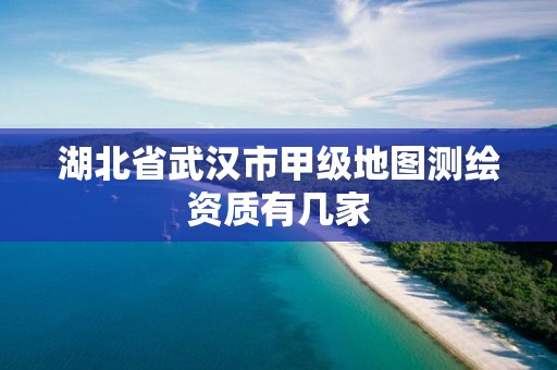 湖北省武漢市甲級(jí)地圖測(cè)繪資質(zhì)有幾家