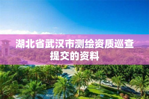 湖北省武漢市測繪資質(zhì)巡查提交的資料