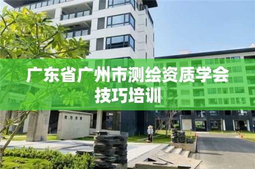 廣東省廣州市測(cè)繪資質(zhì)學(xué)會(huì)技巧培訓(xùn)