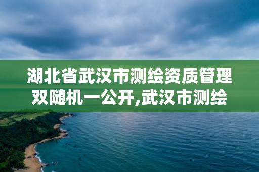 湖北省武漢市測繪資質管理雙隨機一公開,武漢市測繪院。