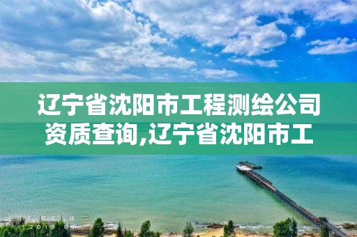 遼寧省沈陽市工程測繪公司資質(zhì)查詢,遼寧省沈陽市工程測繪公司資質(zhì)查詢網(wǎng)