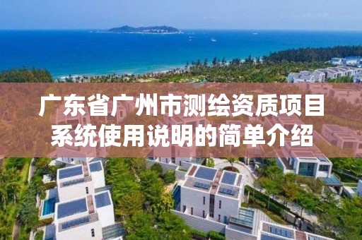 廣東省廣州市測繪資質項目系統使用說明的簡單介紹