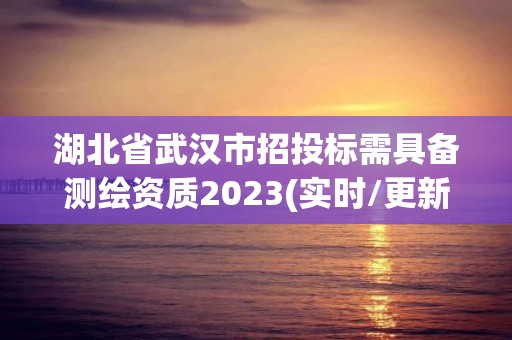 湖北省武漢市招投標需具備測繪資質2023(實時/更新中)