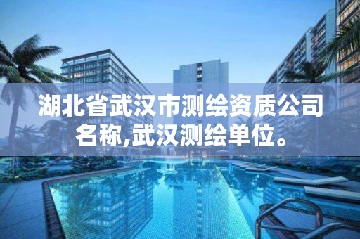 湖北省武漢市測繪資質(zhì)公司名稱,武漢測繪單位。