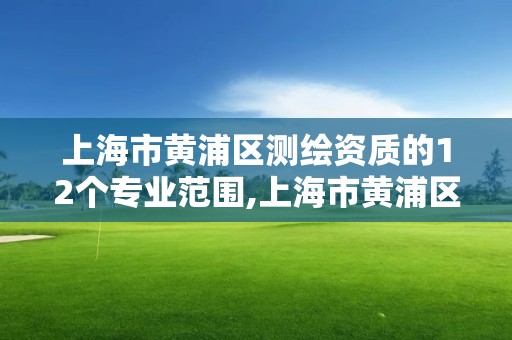 上海市黃浦區測繪資質的12個專業范圍,上海市黃浦區測繪中心。