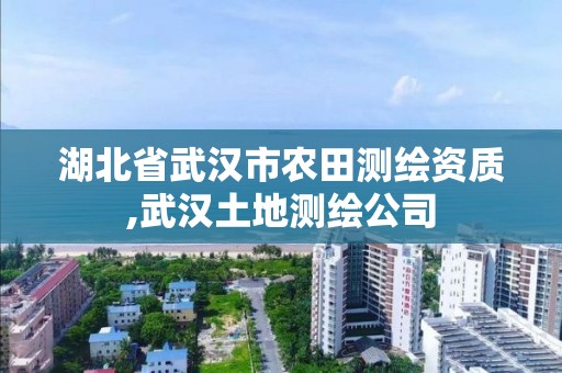 湖北省武漢市農(nóng)田測繪資質(zhì),武漢土地測繪公司