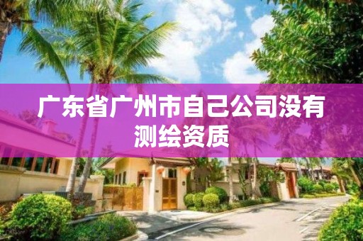 廣東省廣州市自己公司沒有測繪資質(zhì)