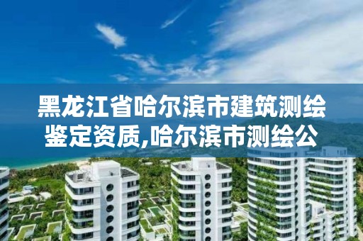 黑龍江省哈爾濱市建筑測繪鑒定資質(zhì),哈爾濱市測繪公司