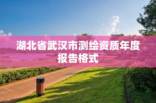 湖北省武漢市測繪資質年度報告格式