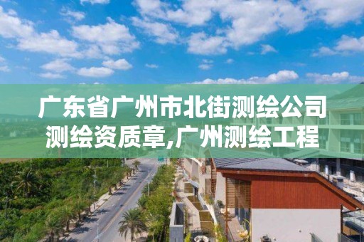 廣東省廣州市北街測繪公司測繪資質章,廣州測繪工程公司