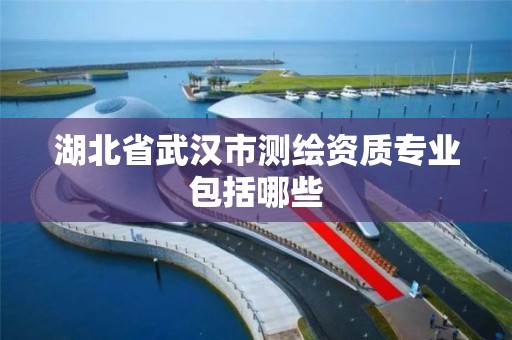 湖北省武漢市測繪資質專業包括哪些