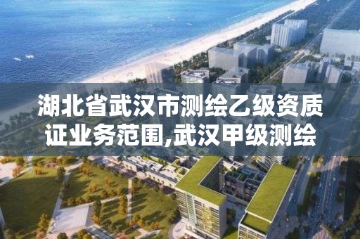 湖北省武漢市測繪乙級資質證業務范圍,武漢甲級測繪資質名錄。