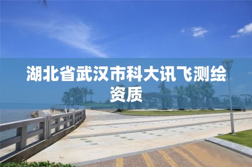 湖北省武漢市科大訊飛測繪資質