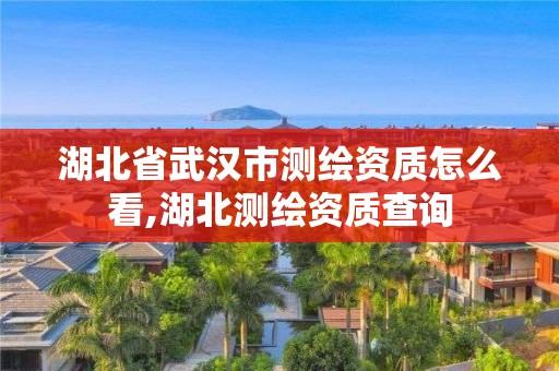 湖北省武漢市測(cè)繪資質(zhì)怎么看,湖北測(cè)繪資質(zhì)查詢