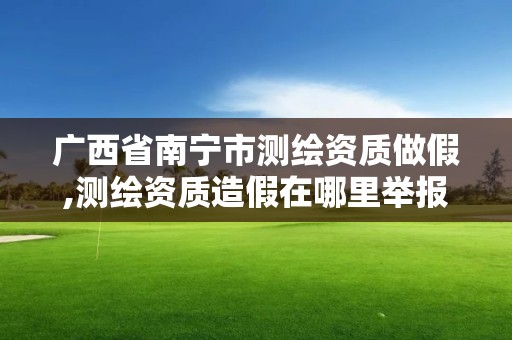 廣西省南寧市測繪資質(zhì)做假,測繪資質(zhì)造假在哪里舉報