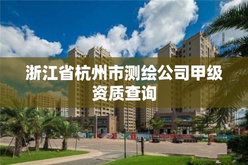 浙江省杭州市測繪公司甲級資質查詢