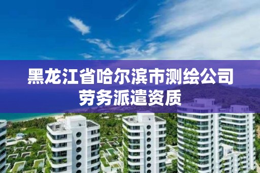 黑龍江省哈爾濱市測繪公司勞務派遣資質