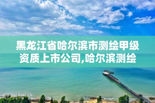 黑龍江省哈爾濱市測繪甲級資質(zhì)上市公司,哈爾濱測繪局怎么樣。