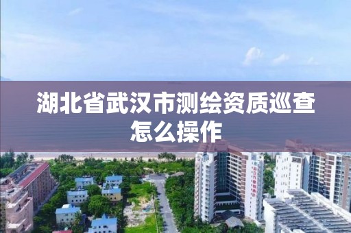 湖北省武漢市測(cè)繪資質(zhì)巡查怎么操作