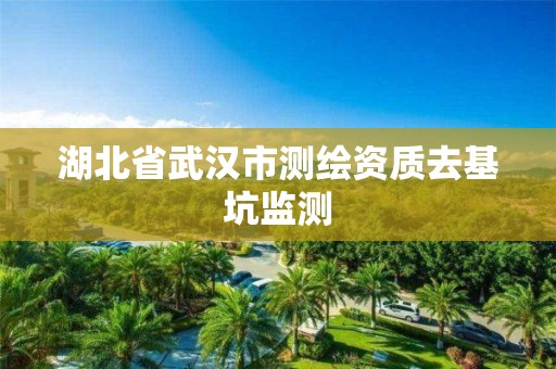 湖北省武漢市測(cè)繪資質(zhì)去基坑監(jiān)測(cè)