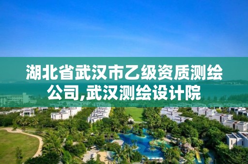 湖北省武漢市乙級資質測繪公司,武漢測繪設計院