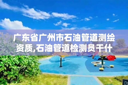 廣東省廣州市石油管道測繪資質,石油管道檢測員干什么的