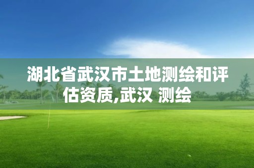 湖北省武漢市土地測繪和評估資質,武漢 測繪