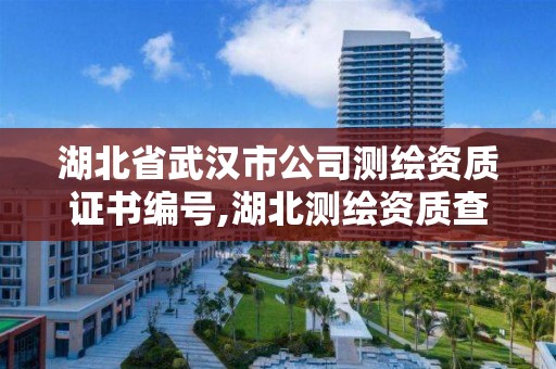 湖北省武漢市公司測繪資質證書編號,湖北測繪資質查詢。