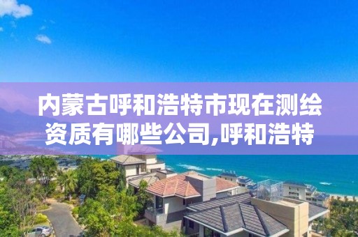 內蒙古呼和浩特市現在測繪資質有哪些公司,呼和浩特測繪招聘