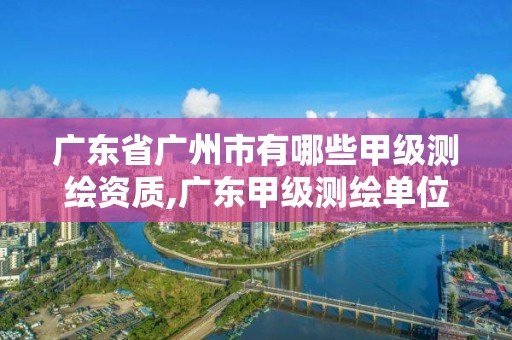 廣東省廣州市有哪些甲級(jí)測(cè)繪資質(zhì),廣東甲級(jí)測(cè)繪單位