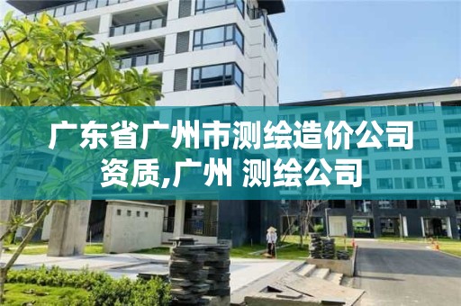 廣東省廣州市測繪造價公司資質,廣州 測繪公司