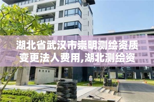 湖北省武漢市崇明測繪資質變更法人費用,湖北測繪資質延期。