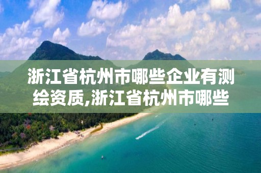 浙江省杭州市哪些企業(yè)有測(cè)繪資質(zhì),浙江省杭州市哪些企業(yè)有測(cè)繪資質(zhì)的公司