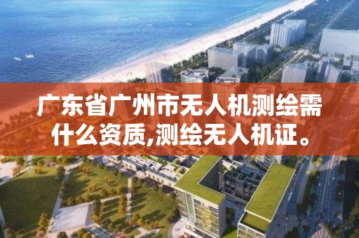 廣東省廣州市無人機測繪需什么資質,測繪無人機證。