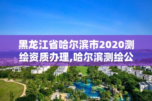 黑龍江省哈爾濱市2020測繪資質(zhì)辦理,哈爾濱測繪公司電話