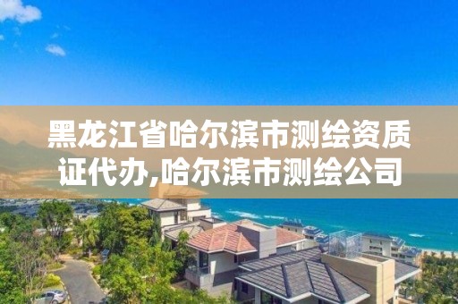 黑龍江省哈爾濱市測繪資質證代辦,哈爾濱市測繪公司