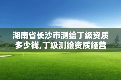 湖南省長沙市測繪丁級資質多少錢,丁級測繪資質經營范圍