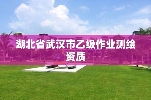 湖北省武漢市乙級作業測繪資質