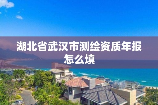 湖北省武漢市測繪資質年報怎么填